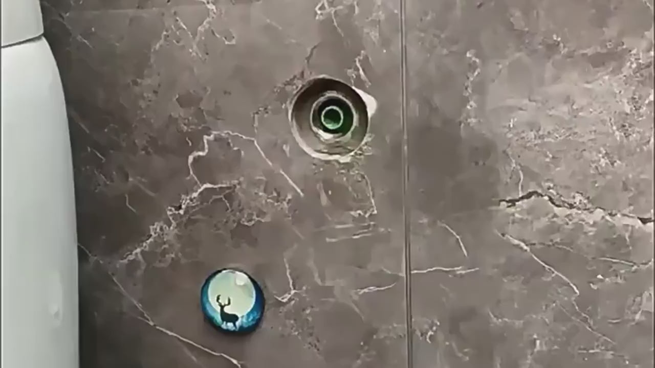 Dual-Control Stainless Steel Handheld Bidet Spray Kit